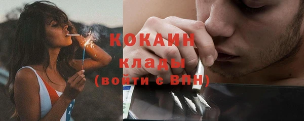 прущие грибы Аркадак