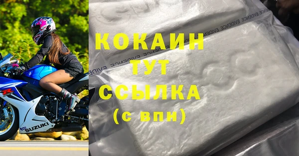 прущие грибы Аркадак