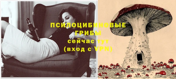 прущие грибы Аркадак