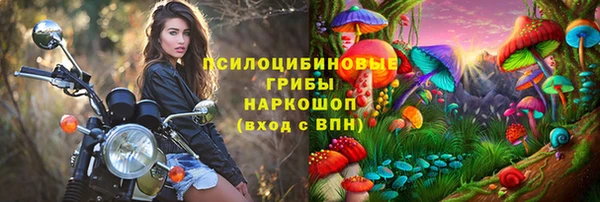прущие грибы Аркадак